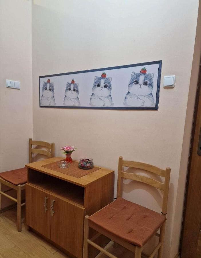 Apartament Central Traian Mosoiu , Parcare Proprie Kluż-Napoka Zewnętrze zdjęcie