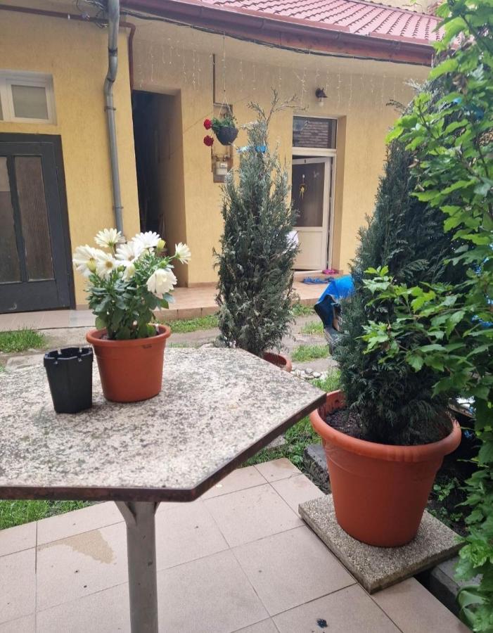 Apartament Central Traian Mosoiu , Parcare Proprie Kluż-Napoka Zewnętrze zdjęcie